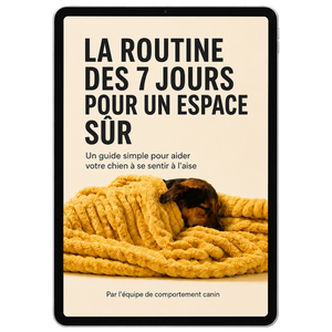Guide 7 jours : installer son Repère Maison