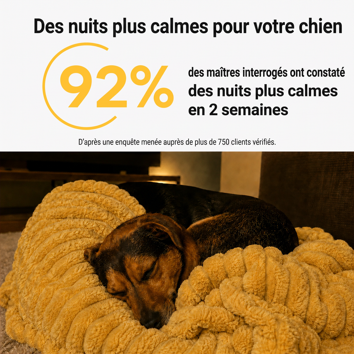 92 % des maîtres interrogés constatent des nuits plus calmes en 2 semaines